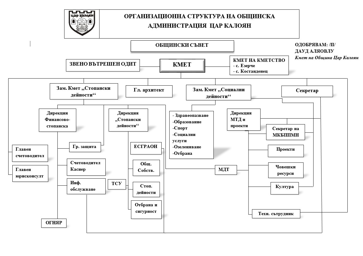 Организационна структура